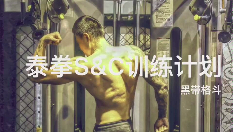 泰拳,散打,拳击S&C训练计划哔哩哔哩bilibili