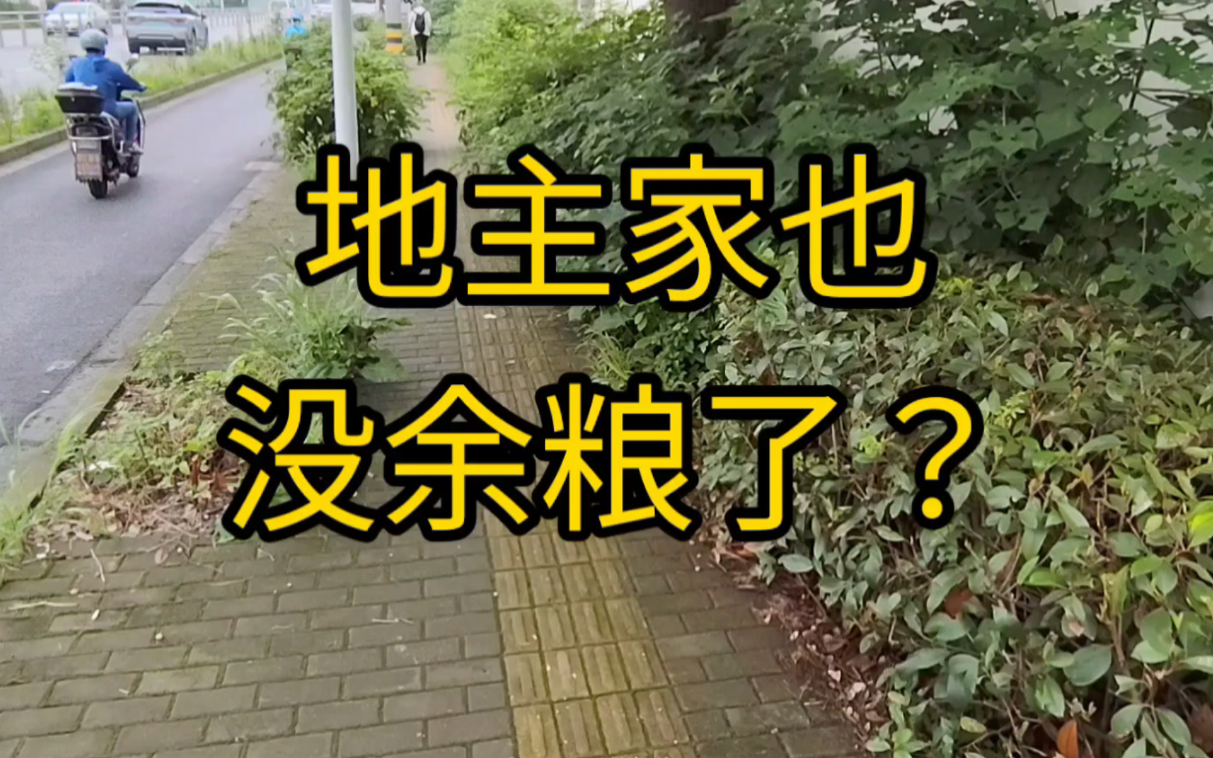 地主家也没余粮了?哔哩哔哩bilibili