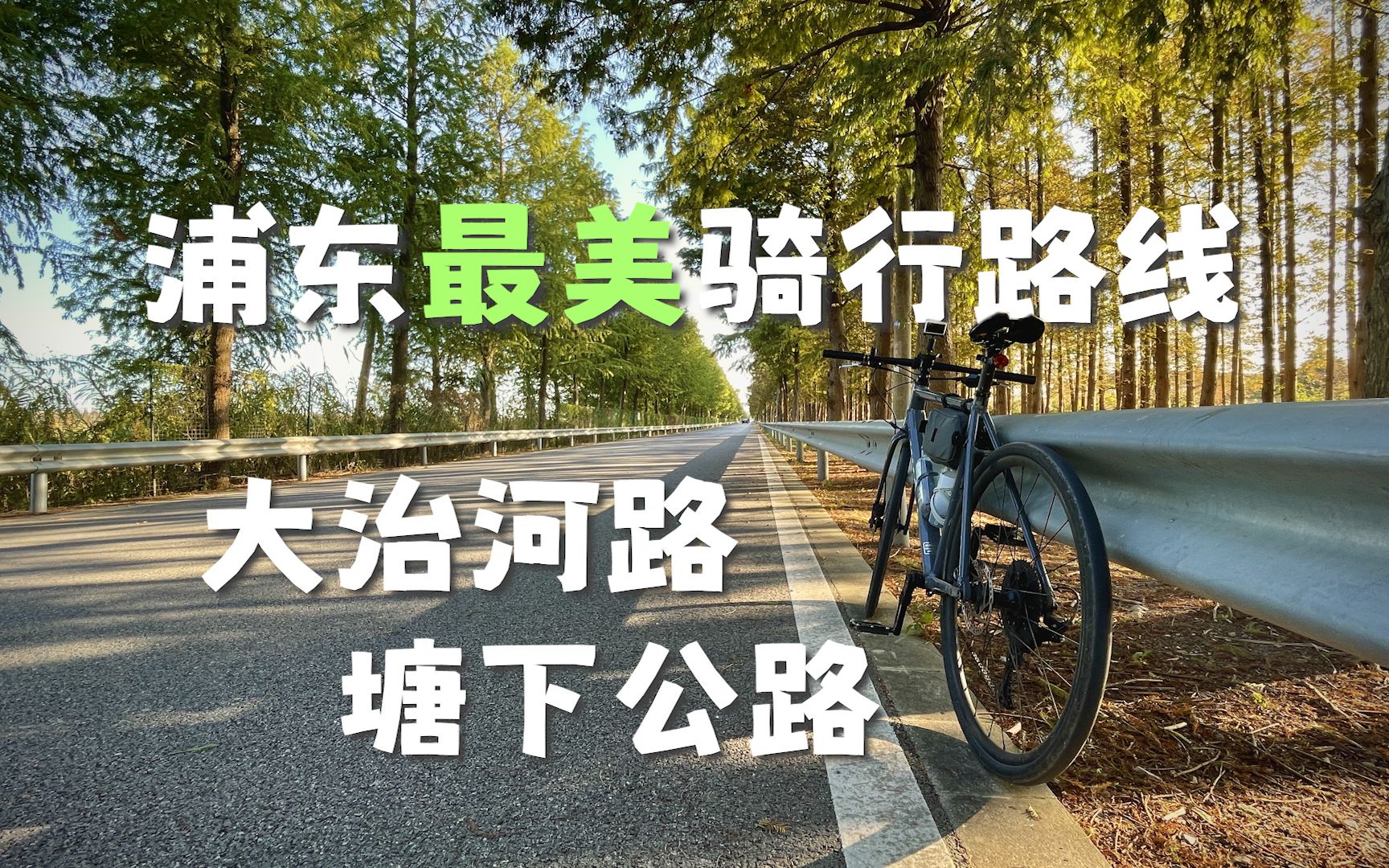 【骑行上海】最美路线 | 塘下公路 | 大治河路 | 滨果公路 | 140km打卡哔哩哔哩bilibili