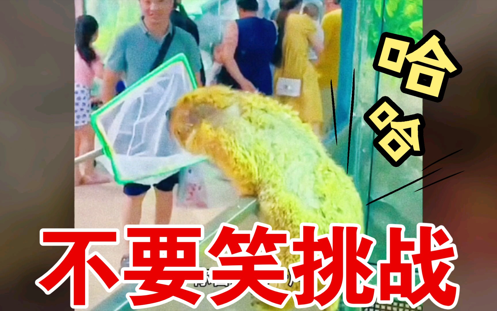 搞笑配音,这配音没谁了,根本不够看.