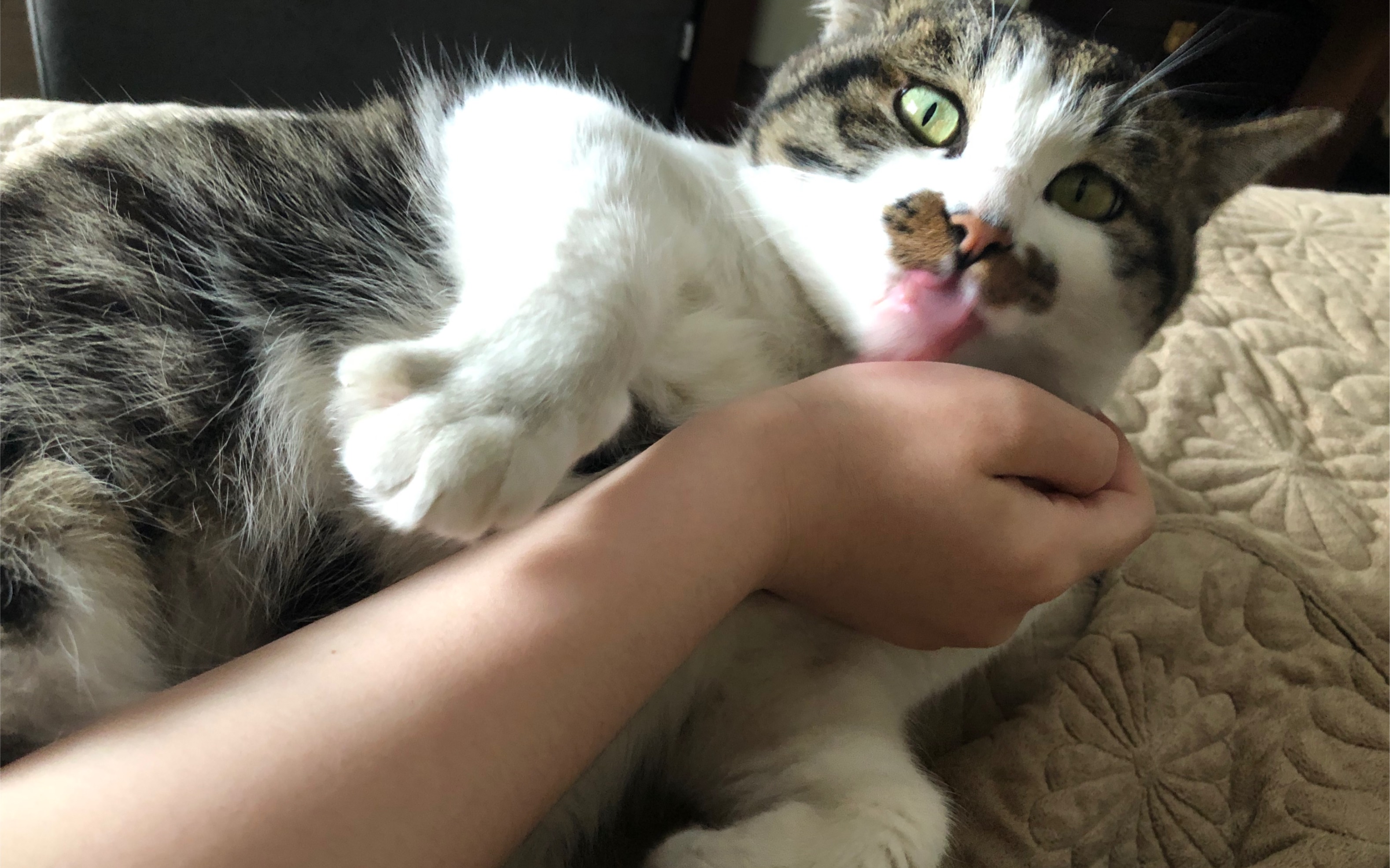 B站