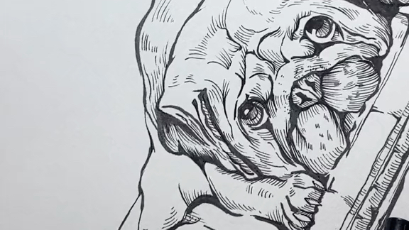 今天花1分22秒画一个巴哥狗狗