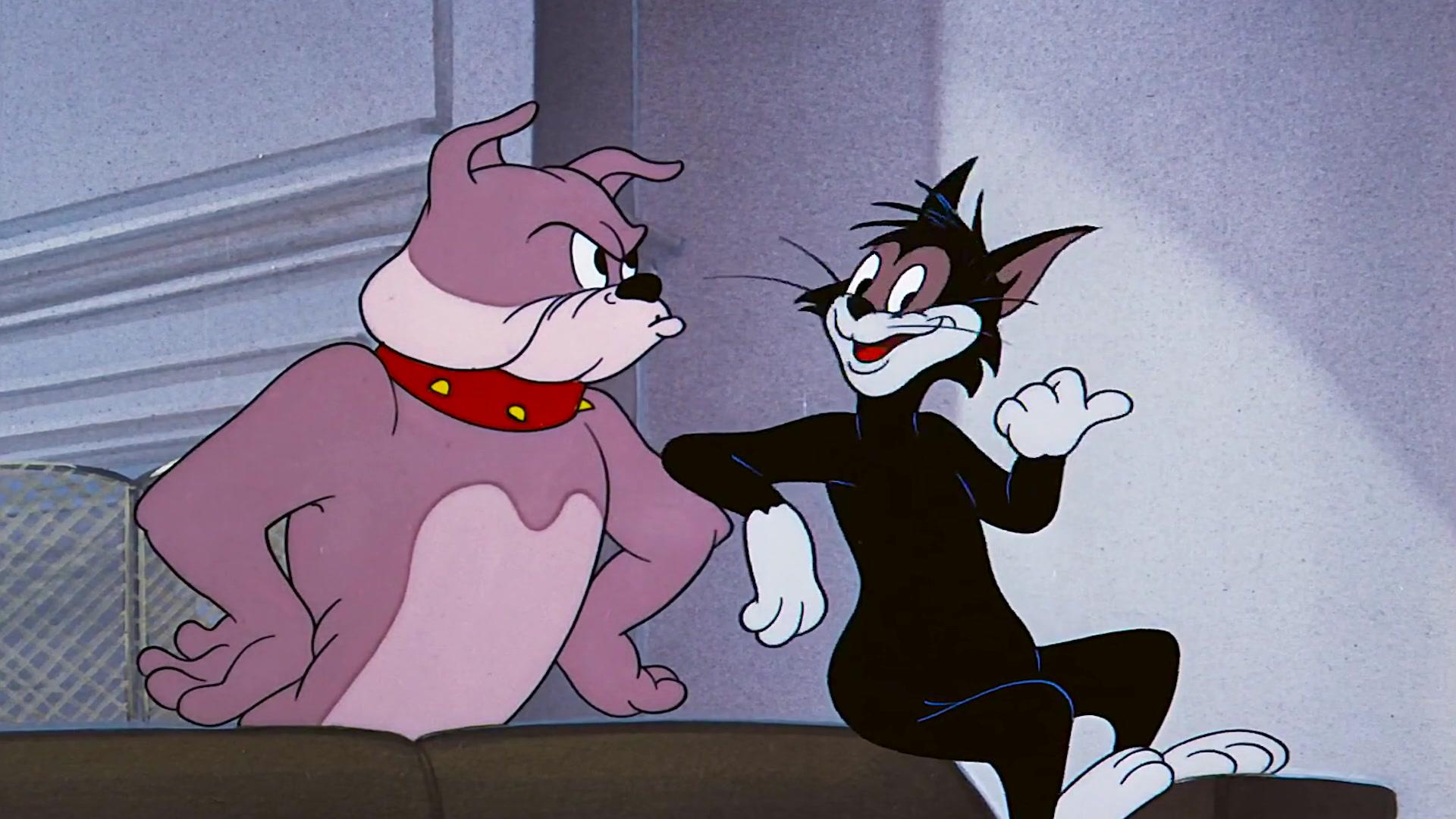 猫和老鼠:汤姆趁主人没在家,邀请流浪猫三兄弟看电影,结果被斯派克