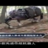 中国版大狗首次亮相 军用机器人水平直追美国_标清