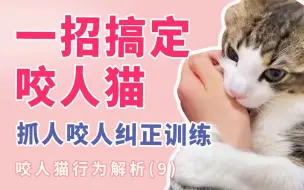 Download Video: 一招搞定咬人猫-咬人猫行为解析9-猫行为训练