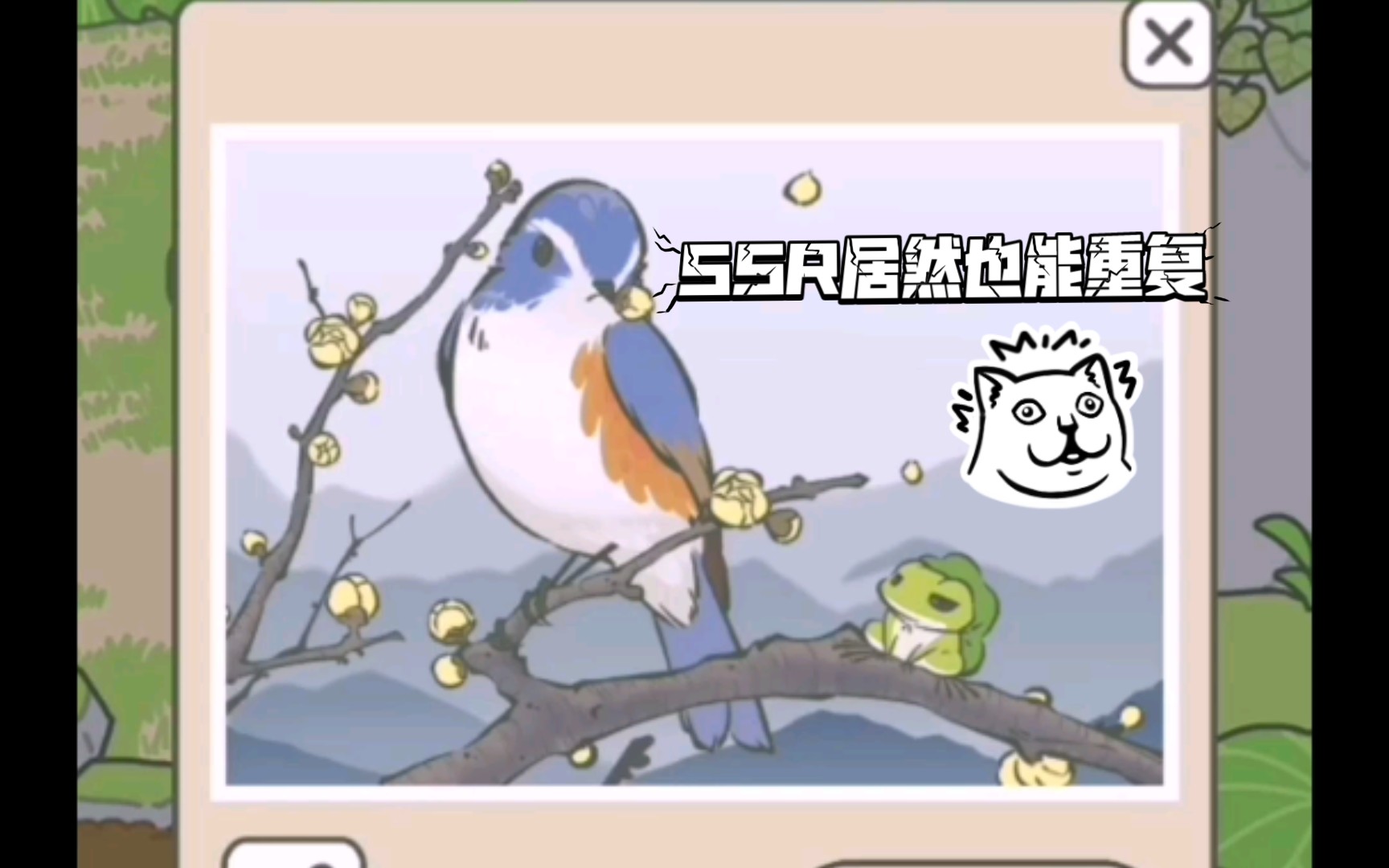 旅行青蛙中国之旅内附腊梅稀有照片获取攻略