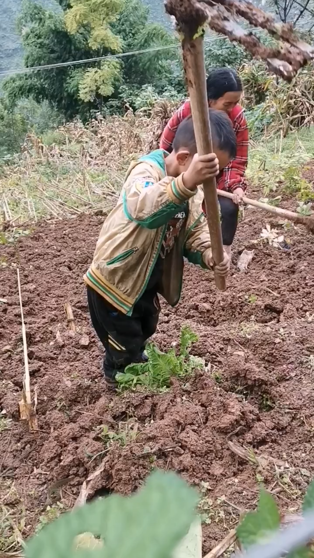 [图]大凉山贫困山区的孩子，勤劳的小蜜蜂