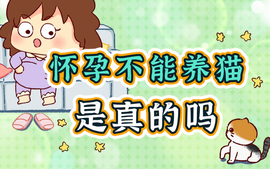 怀孕期间养猫,真的会感染弓形虫吗?哔哩哔哩bilibili