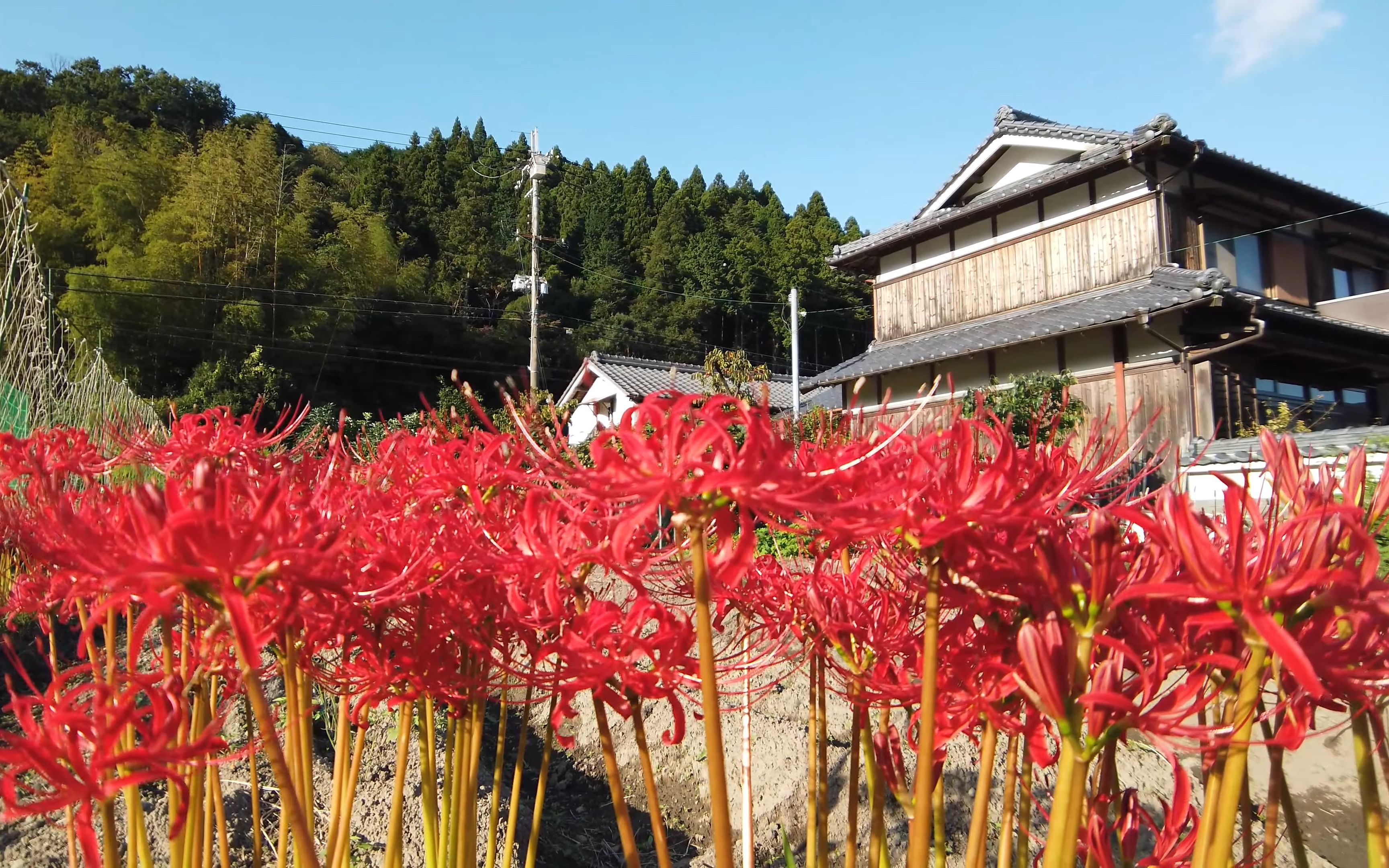 [图]日本乡村散步 - 兵库县神川镇【寺前駅周辺】