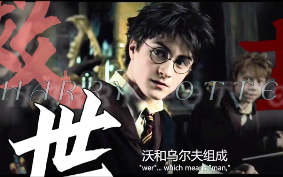 【HP|德哈】见证一下救世主的高颜值|这个世界根本没有魔法.哔哩哔哩bilibili