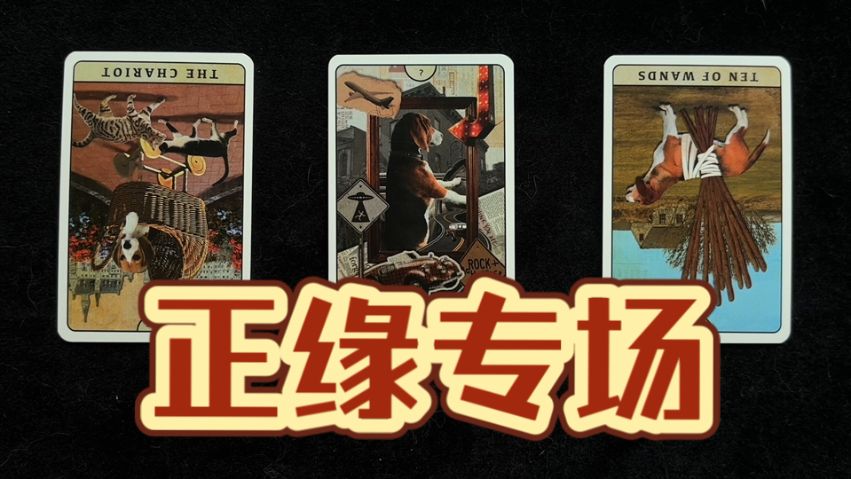 【瓶盖】关于你的正缘的一切（超长超详细版）（我觉得无雷，如果触雷那我致歉）timeless 不限性别/取向