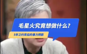 Download Video: 5年之约背后的暴力阴影：他究竟想做什么？