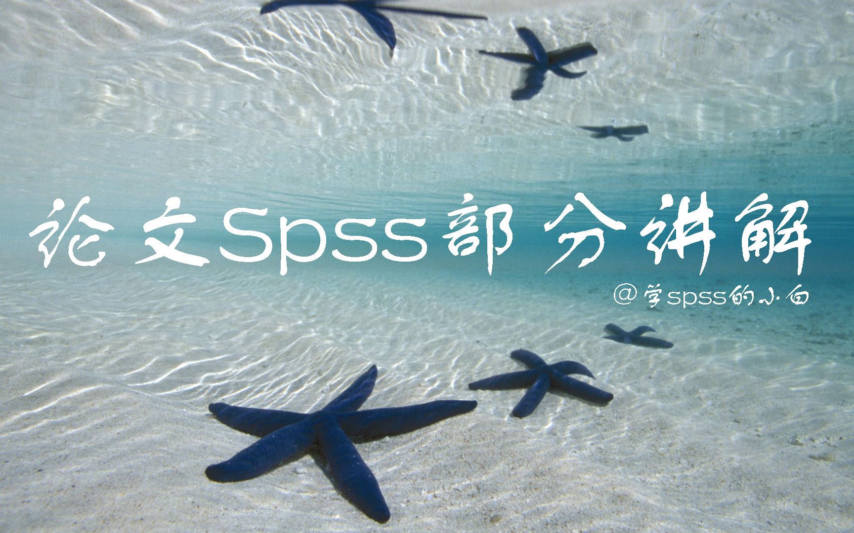 [图]Spss调查问卷数据录入及分析论文