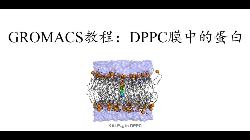 GROMACS教程:DPPC膜中的蛋白2021914 19:41:03哔哩哔哩bilibili