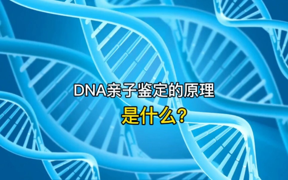 DNA亲子鉴定的原理是什么?哔哩哔哩bilibili