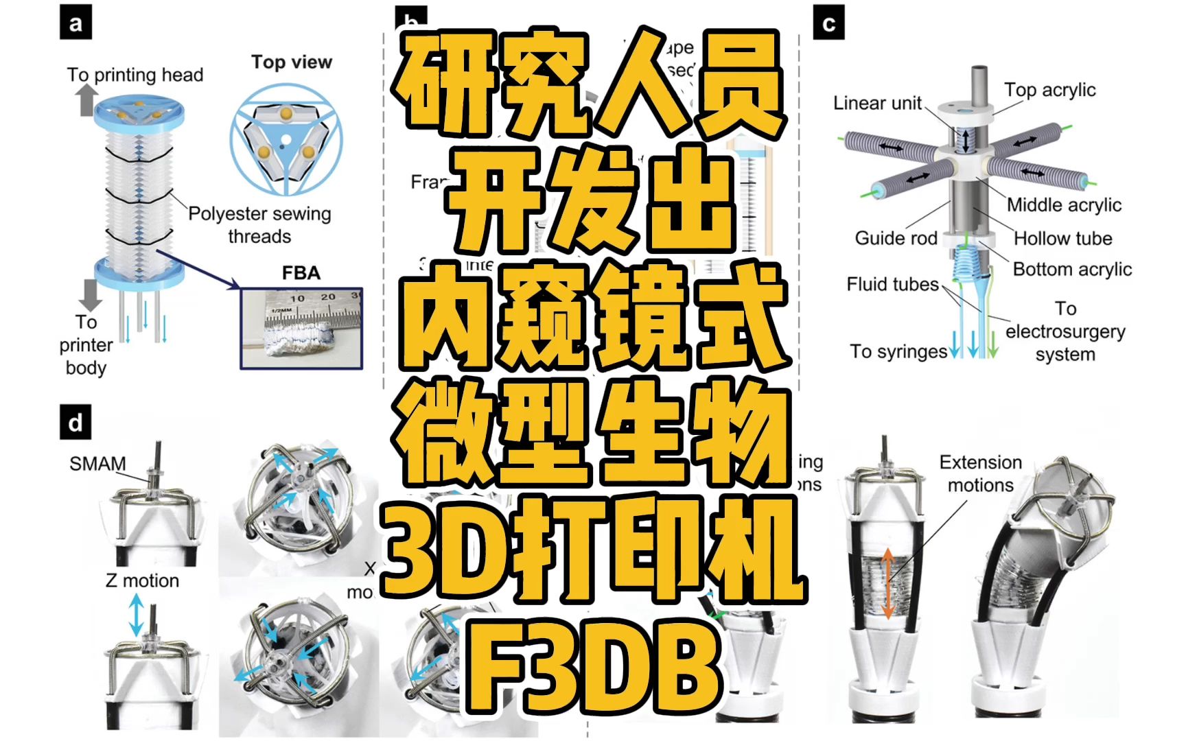 研究人员开发出内窥镜式微型生物3D打印机F3DB哔哩哔哩bilibili