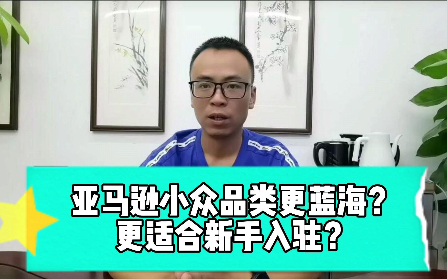 亚马逊小众类目考虑过没?新手入局最容易站稳脚的姿势哔哩哔哩bilibili