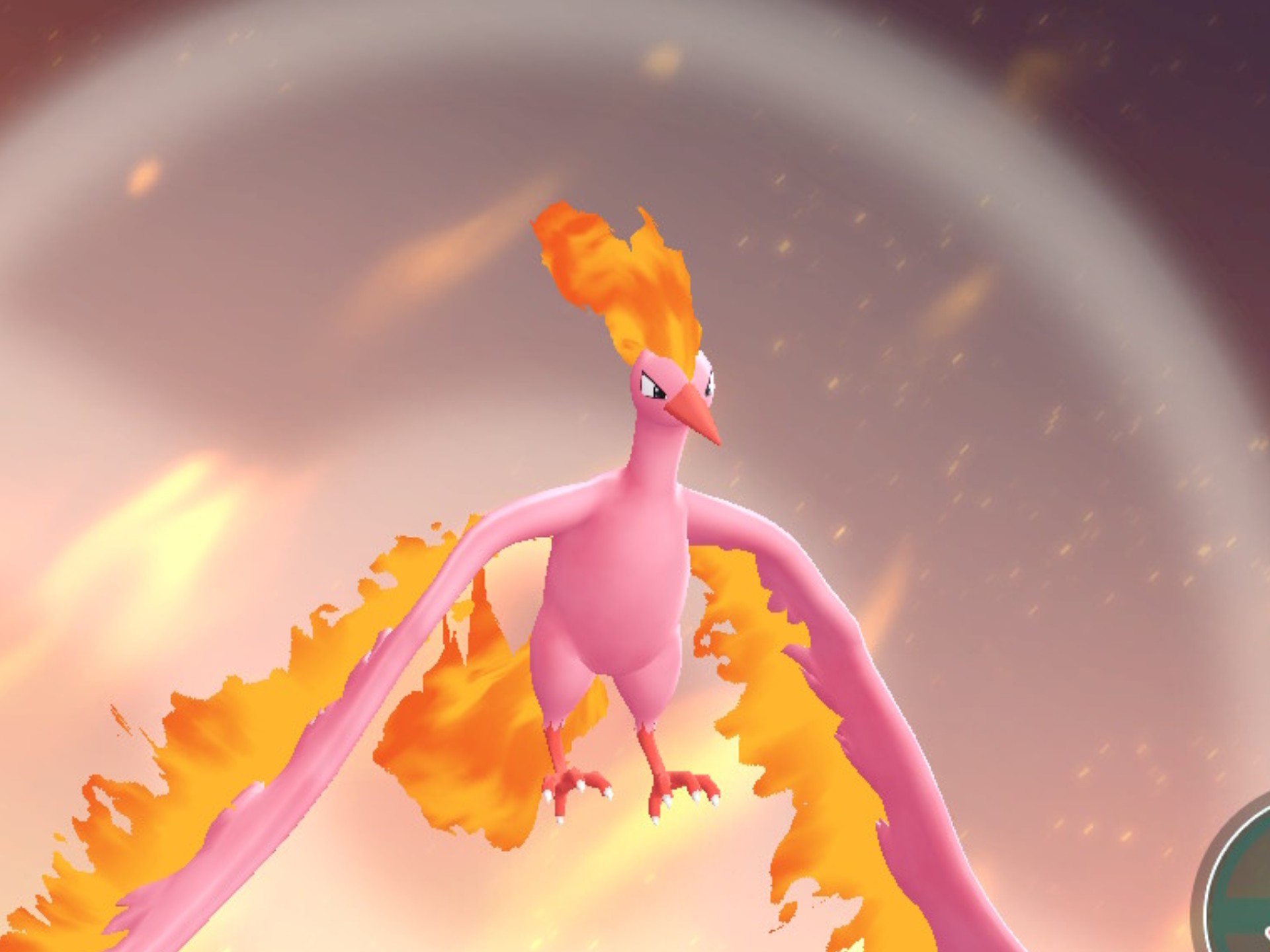 4h闪光火焰鸟get