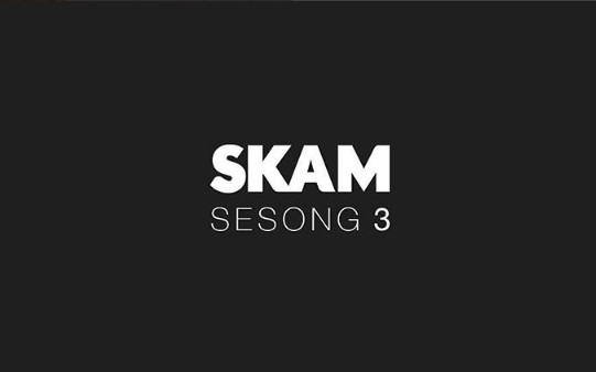 【SKAM】第三季EVAK循环无数遍的BGM音乐(Even&Isak的每分每秒音乐〔背景都是图片求审核通过〕)哔哩哔哩bilibili