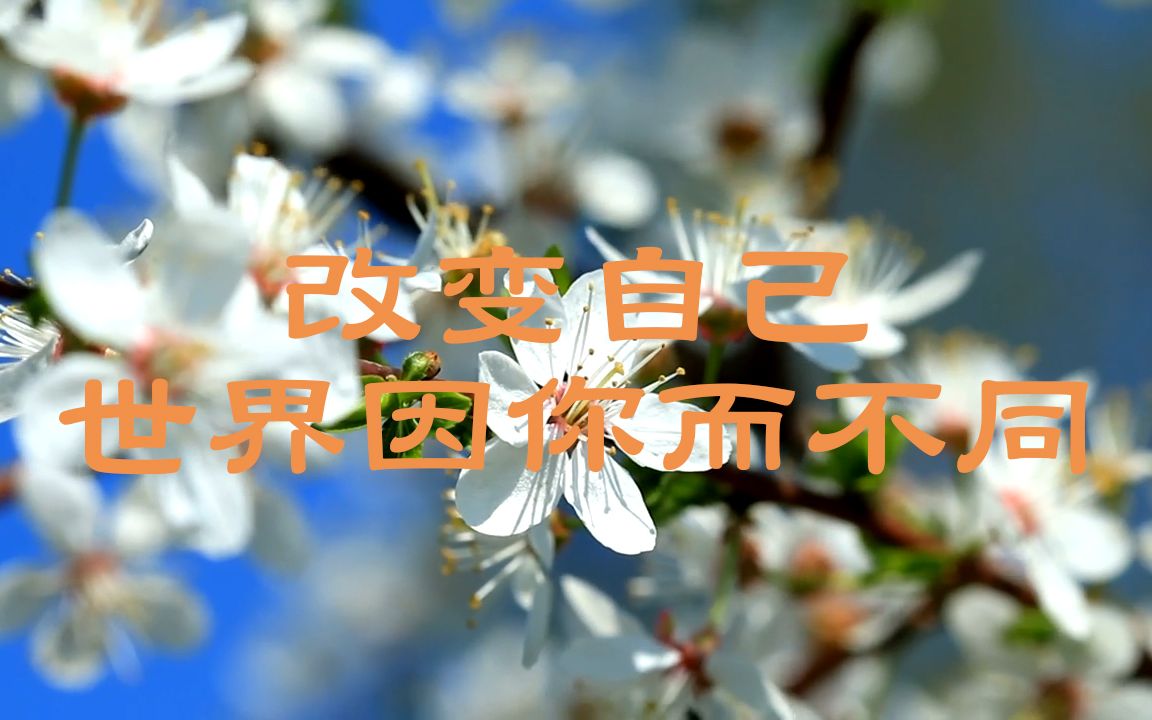 活动作品心态1改变自己是改变世界最好的方式