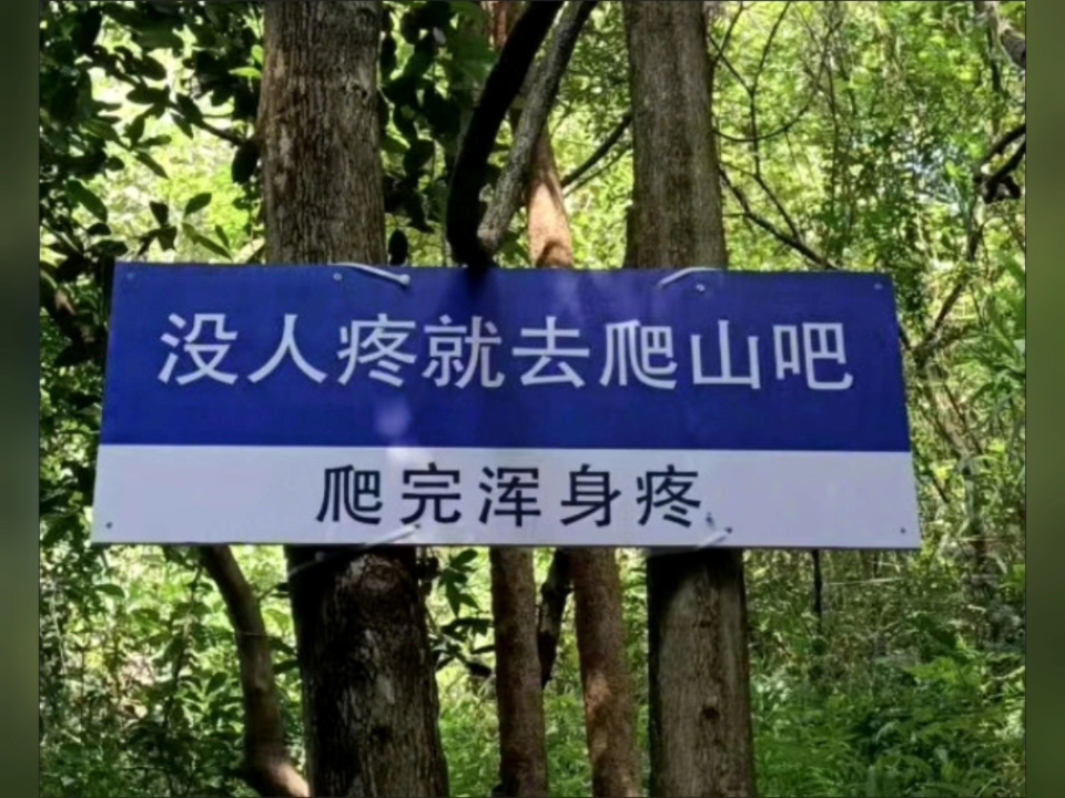 除了没人疼,全身哪都疼