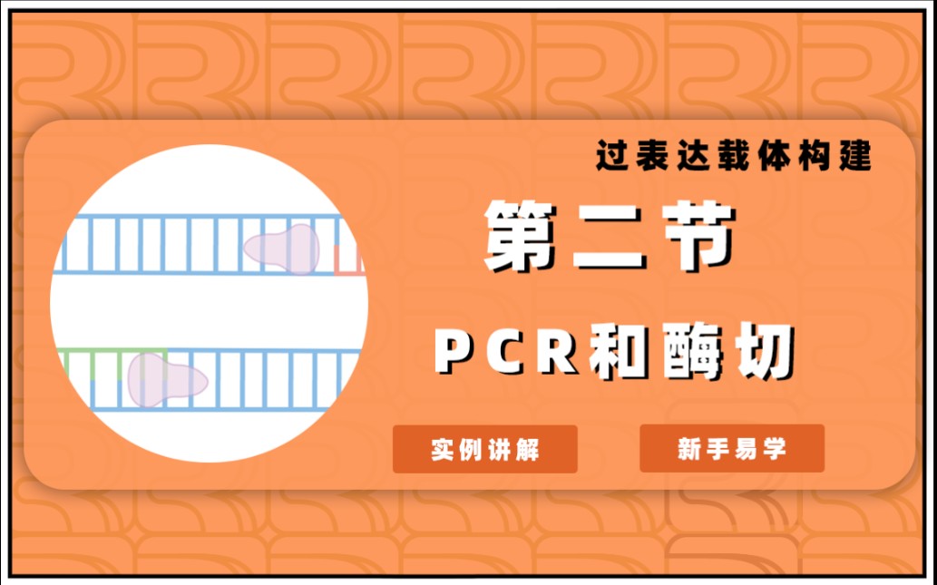 基因克隆合集(4):过表达载体构建 第二节 PCR和酶切哔哩哔哩bilibili