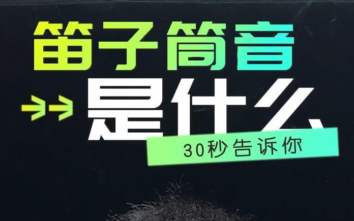 30秒告诉你 笛子筒音是什么?哔哩哔哩bilibili