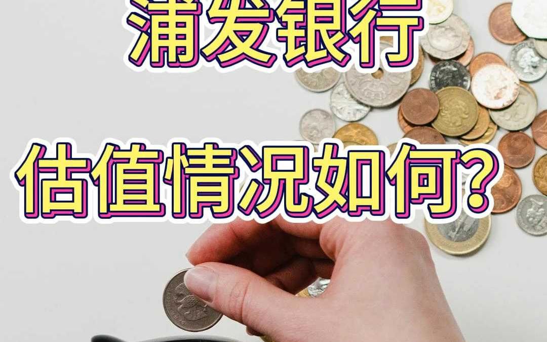 浦发银行的估值情况如何?哔哩哔哩bilibili