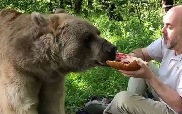 【熊】斯捷潘今天的营业 工作餐看起来不错呀_哔哩哔哩_bilibili