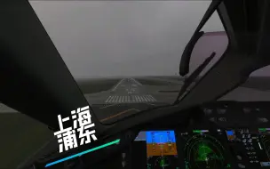 Video herunterladen: 4K【Microsoft Flight Simulator】B788 大雨落地上海浦东机场