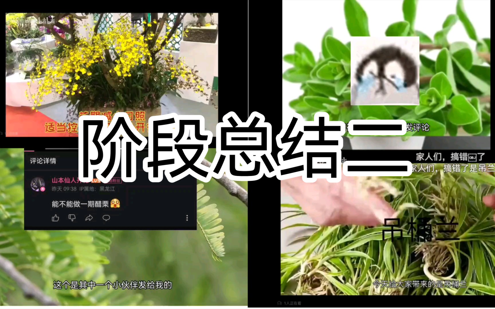 阶段总结二哔哩哔哩bilibili