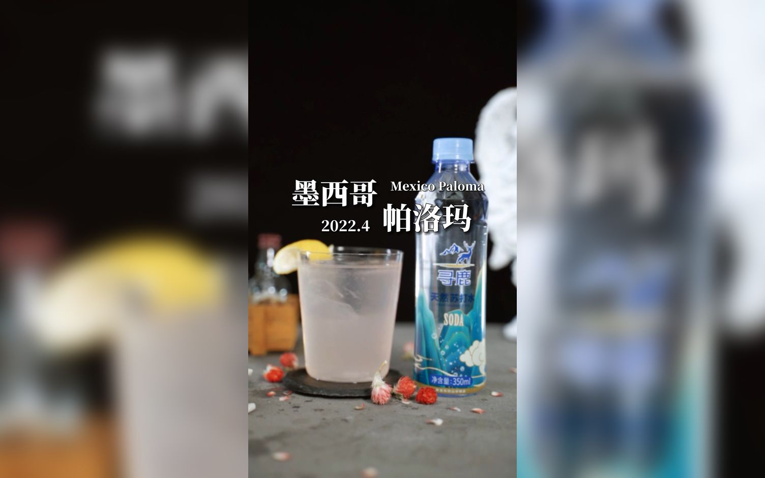 【九肆酒馆】帕洛玛哔哩哔哩bilibili