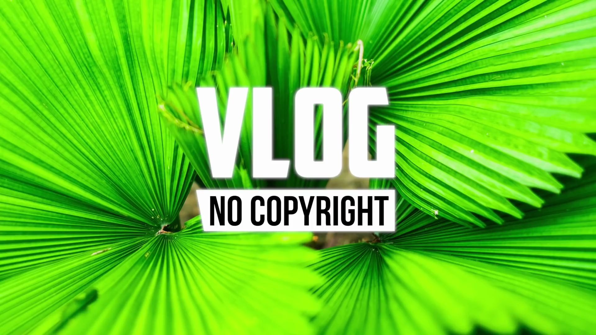 背景音乐 tobu - lets go (vlog no copyright music)_哔哩哔哩 (゜