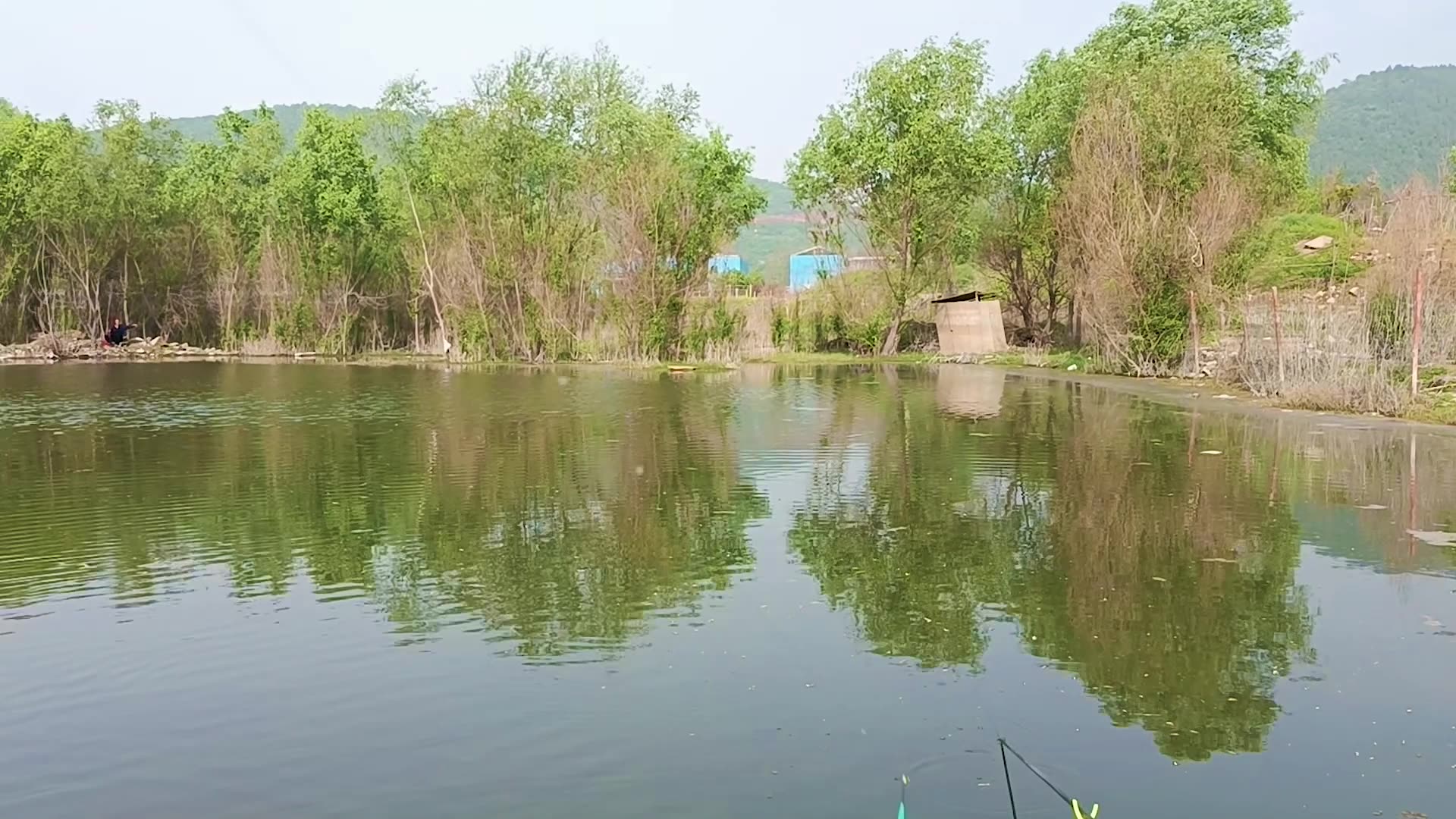 大鲫鱼跟本不用钓远钓深,只要用对方法,那是嗖嗖的上哔哩哔哩bilibili