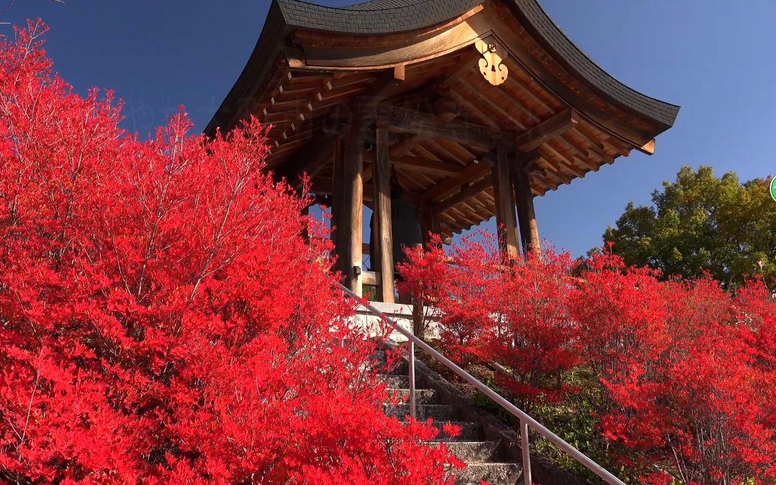 [图]【超清日本】第一视角 秋天的大町市灵松寺红叶 2018.10