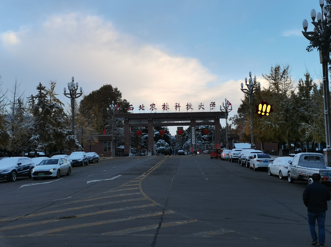 西北农林科技大学北校区随手拍美景