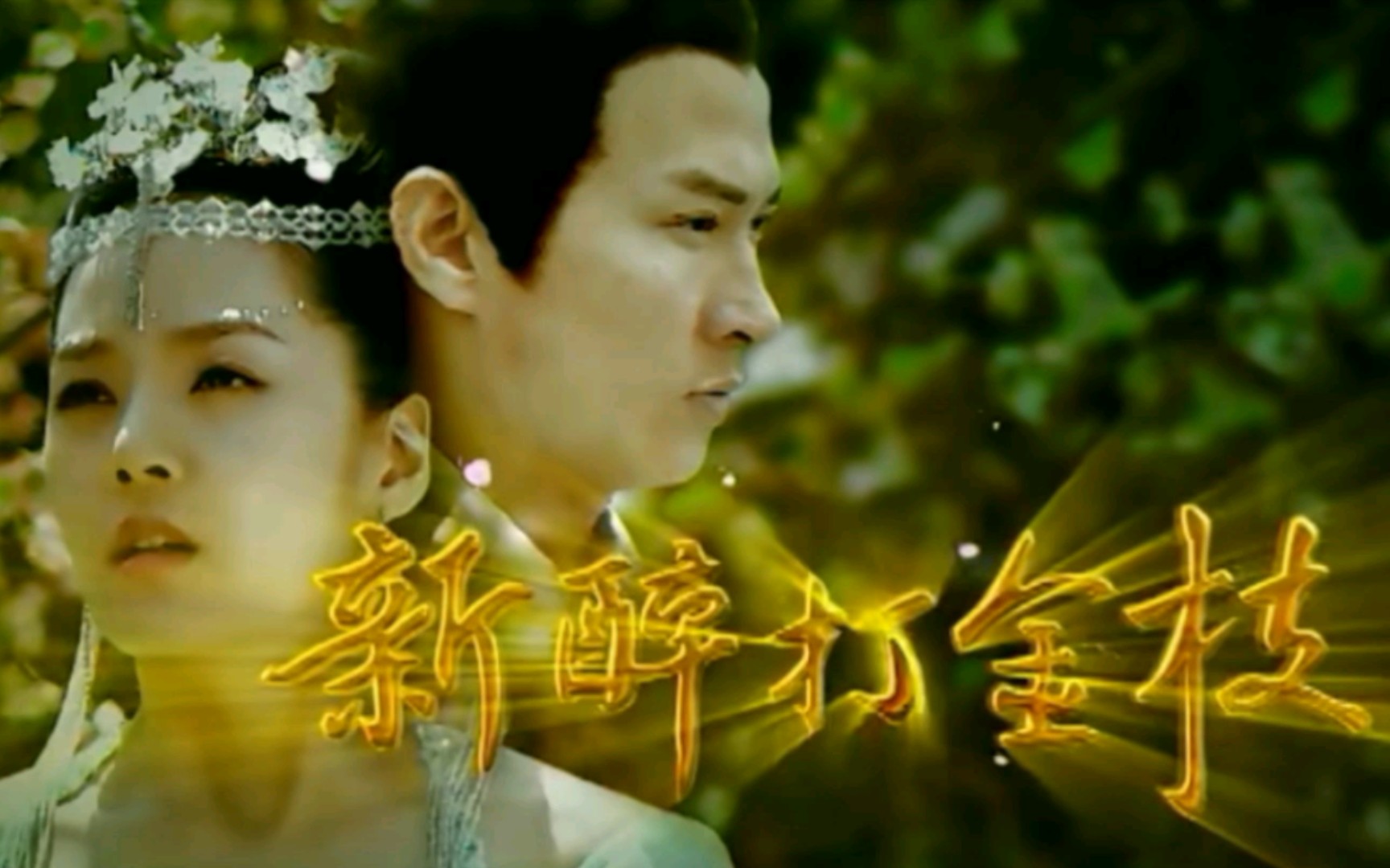 醉打金枝主题曲金枝玉叶潘慧强