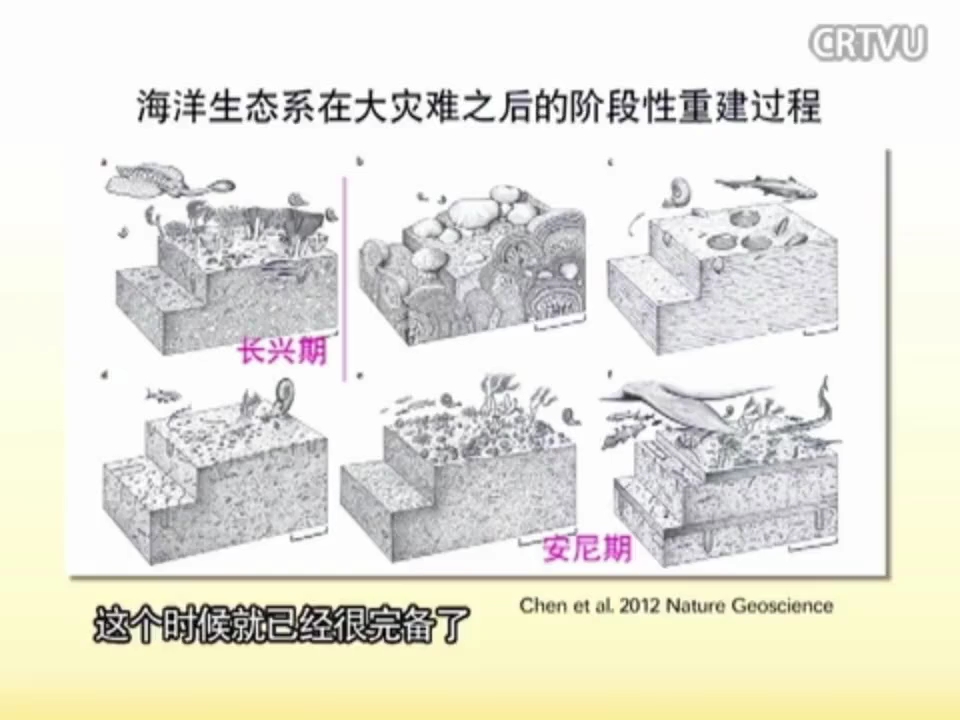 【地球ⷧ”Ÿ物】中生代初生物复苏及其环境背景【童金南】哔哩哔哩bilibili