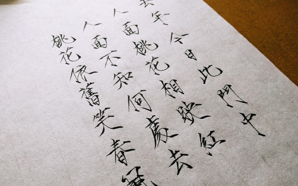 【瘦金体手写】题都城南庄