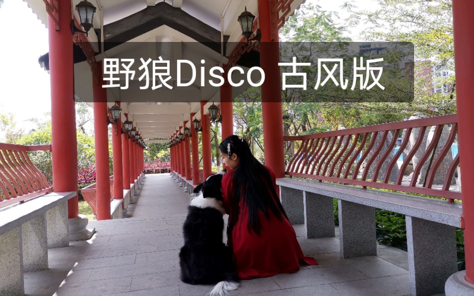 [图]【纾离】野狼Disco 古风版 翻跳 爱李脑狮