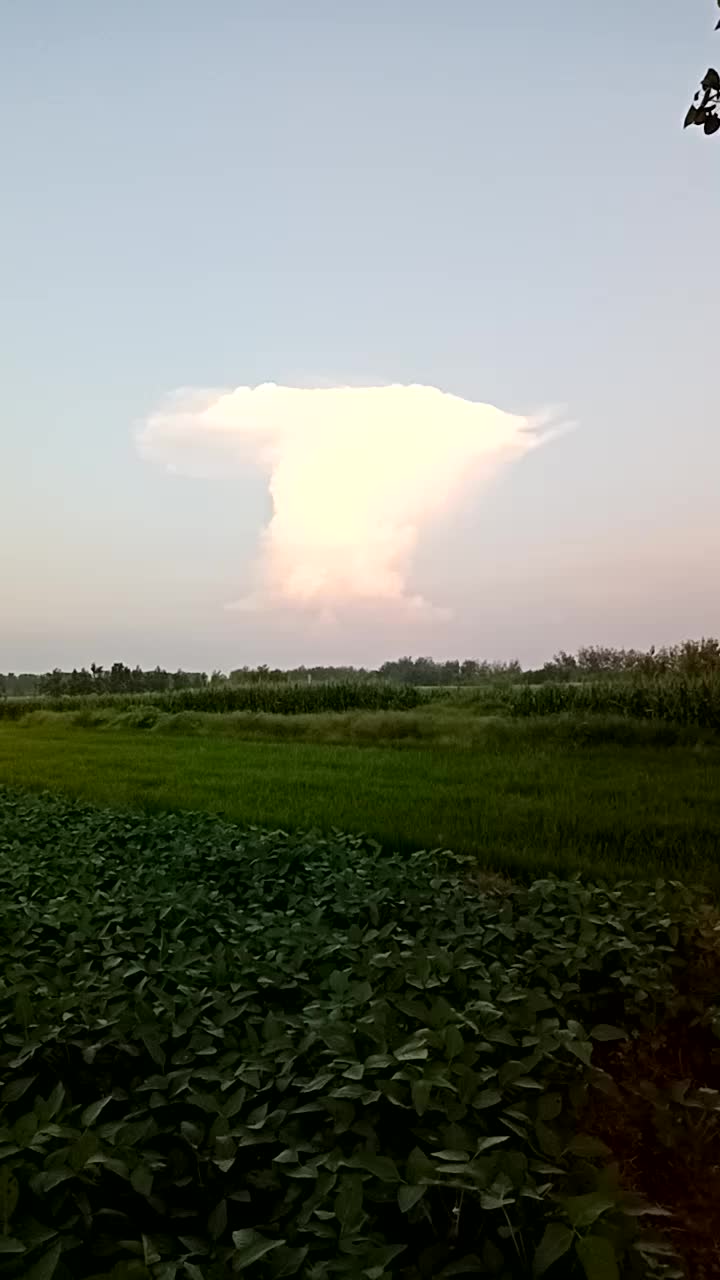 哇!好大的蘑菇云!