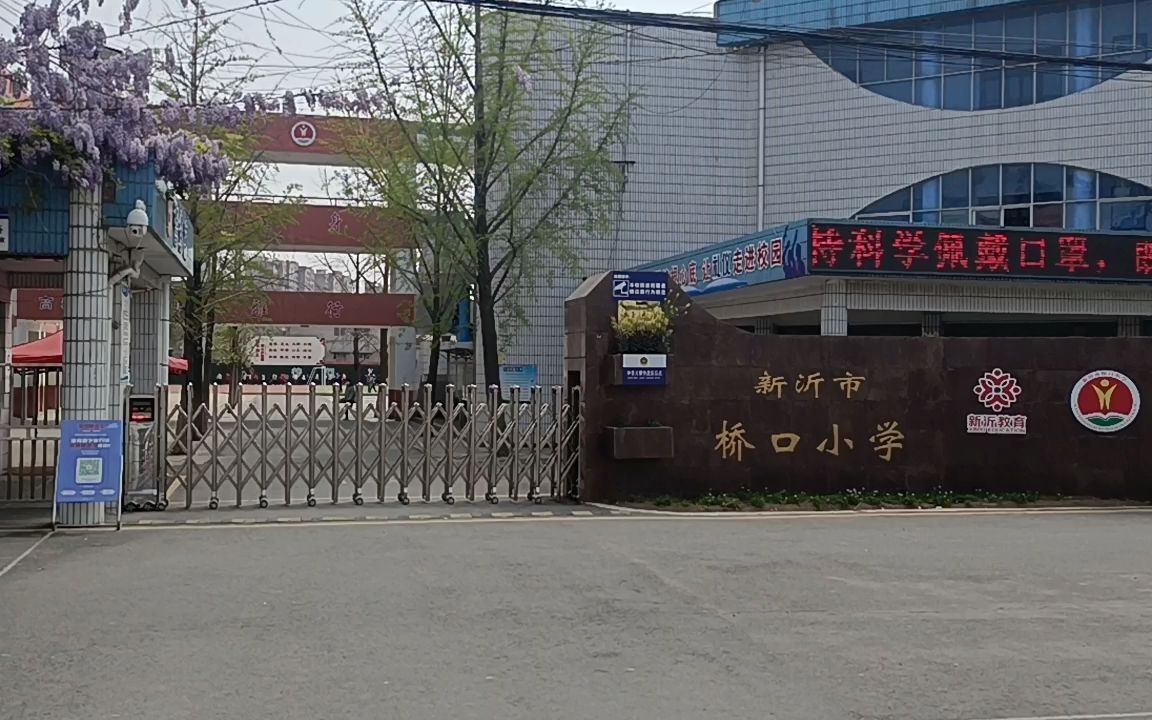 桥口小学春意盎然