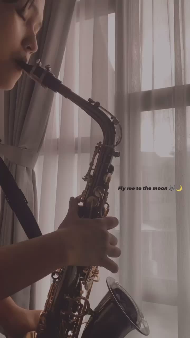 带我飞向月球