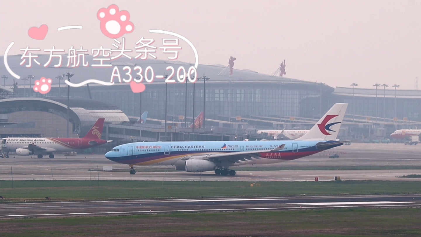 东航头条号彩绘客机空客a332降落宁波栎社机场