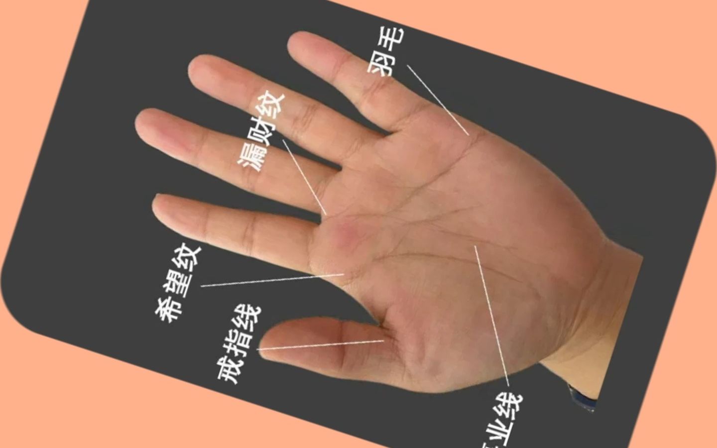 2023学业成绩突飞猛进,学习状态俱佳的手相