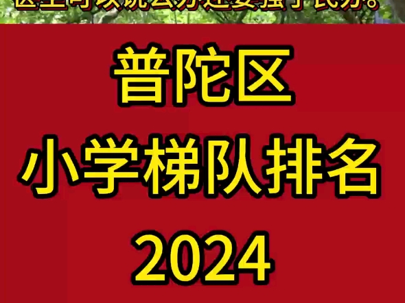 普陀区的小学,整体来说,民办和公办差距不大.梅陇中学+新普陀小学,是一个标准的双学区.是普陀家长最心仪的组合之一.#普陀区小学梯队排名#新普...