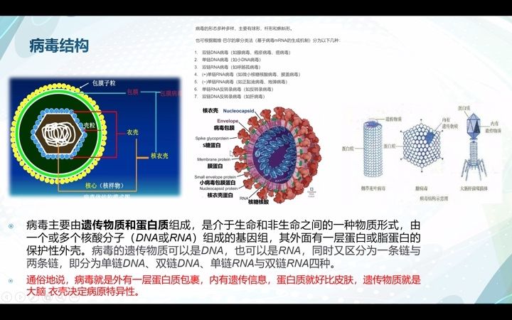 [图]神经示踪病毒—不跨突触标记病毒