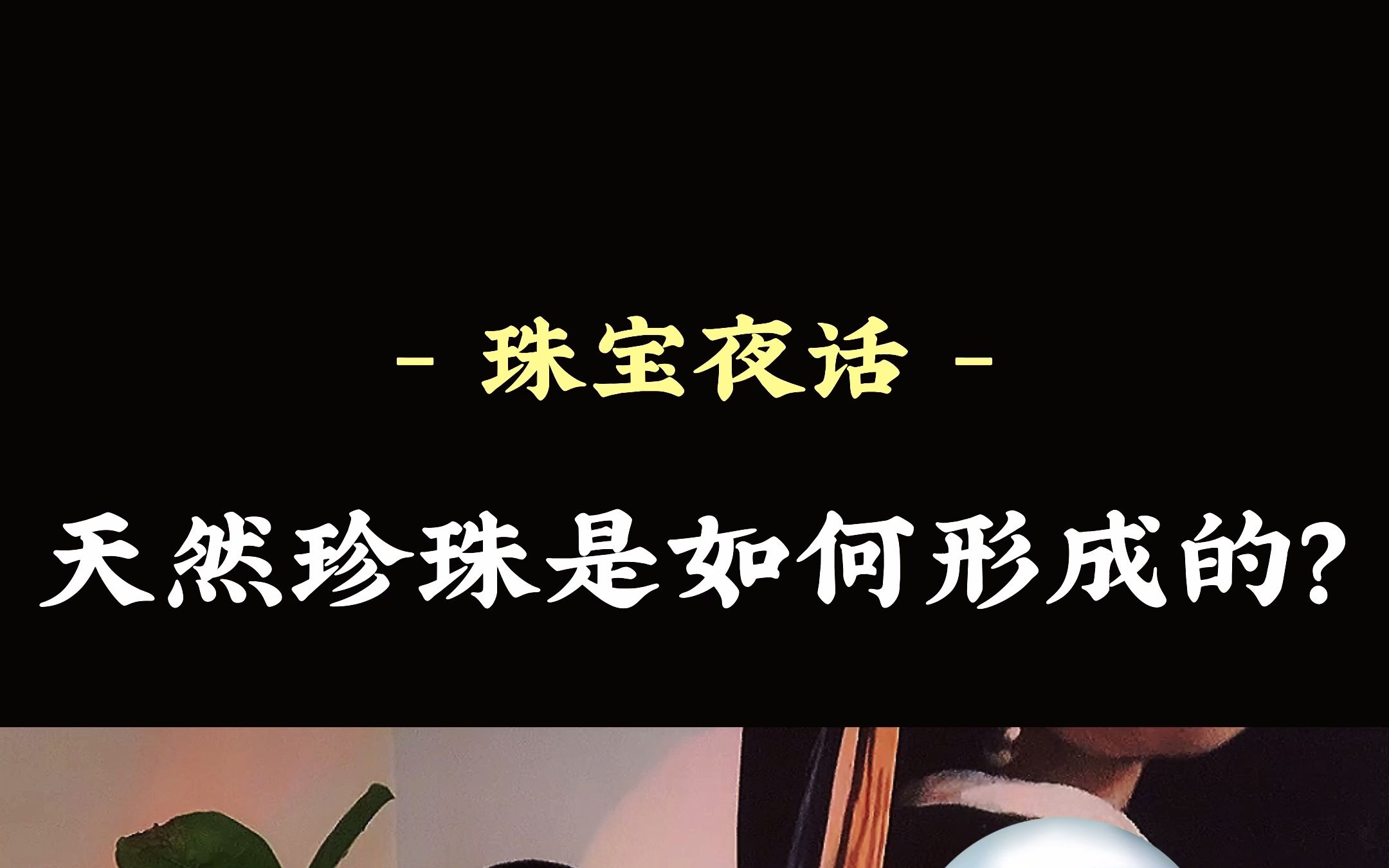 珍珠真的是沙子形成的吗?你不会真的信了吧?哔哩哔哩bilibili