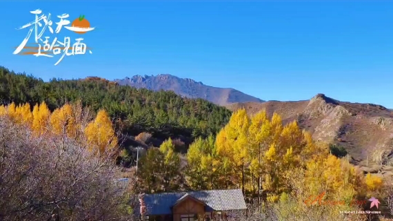 内蒙古赤峰市神仙沟风景区深秋景哔哩哔哩bilibili