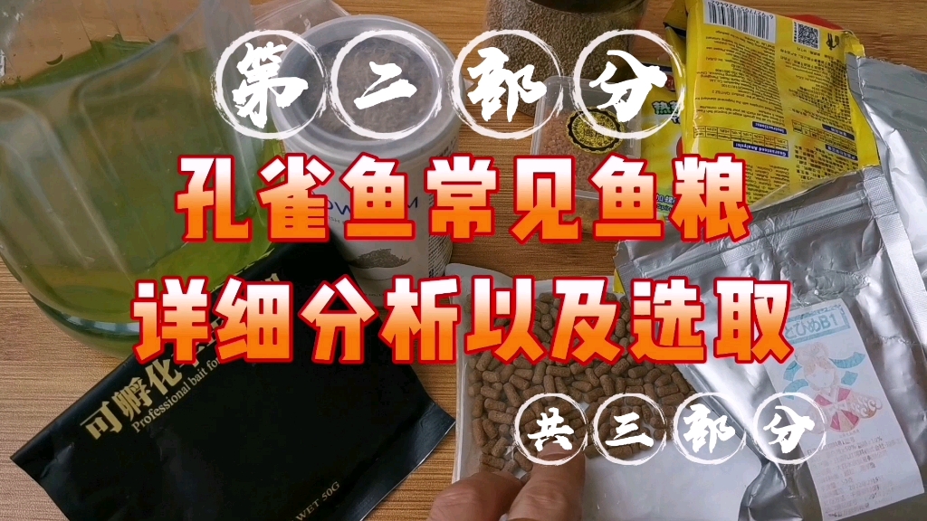 孔雀鱼(又名凤尾鱼)常见鱼粮详细分析以及选取:第二部分哔哩哔哩bilibili